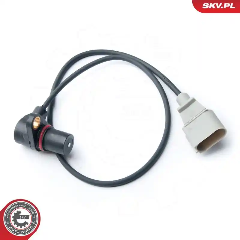 ESEN SKV 17SKV213