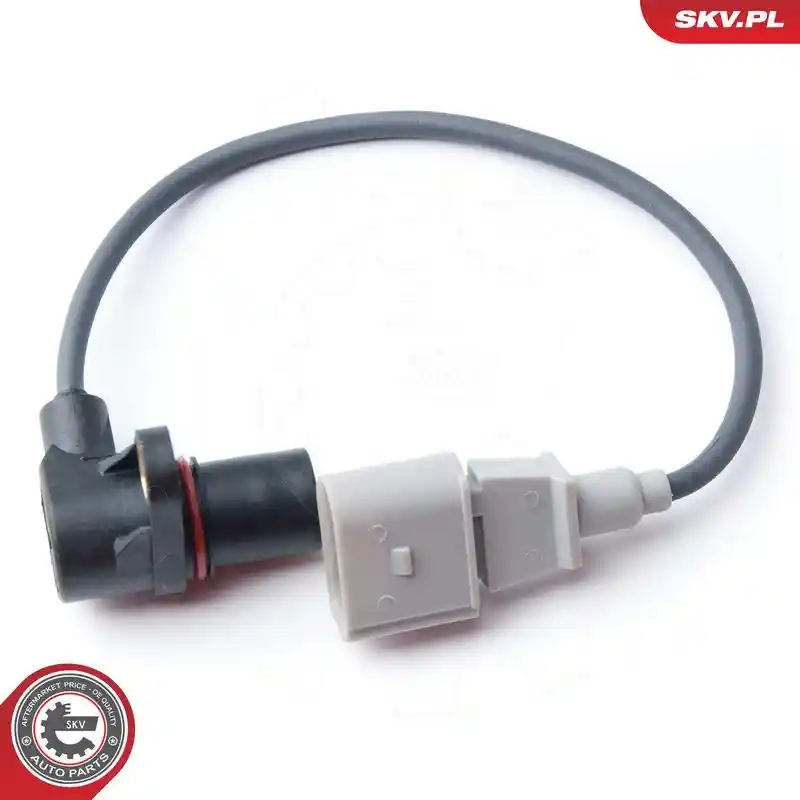 ESEN SKV 17SKV268