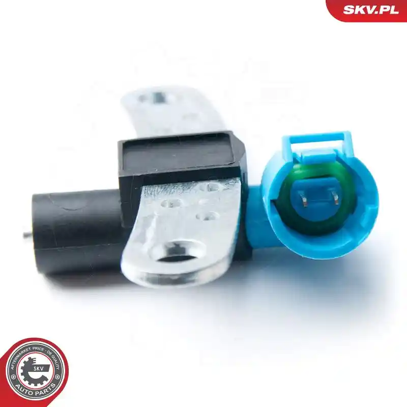 ESEN SKV 17SKV281
