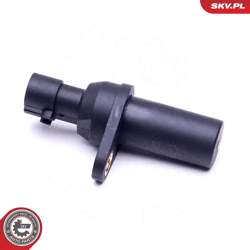 ESEN SKV 17SKV297