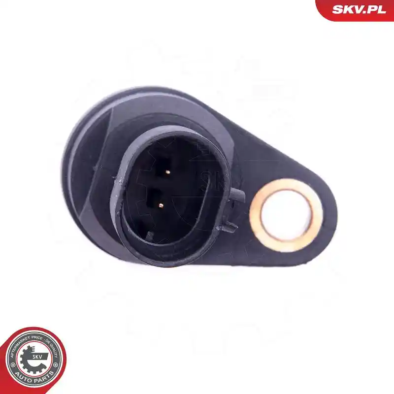 ESEN SKV 17SKV297