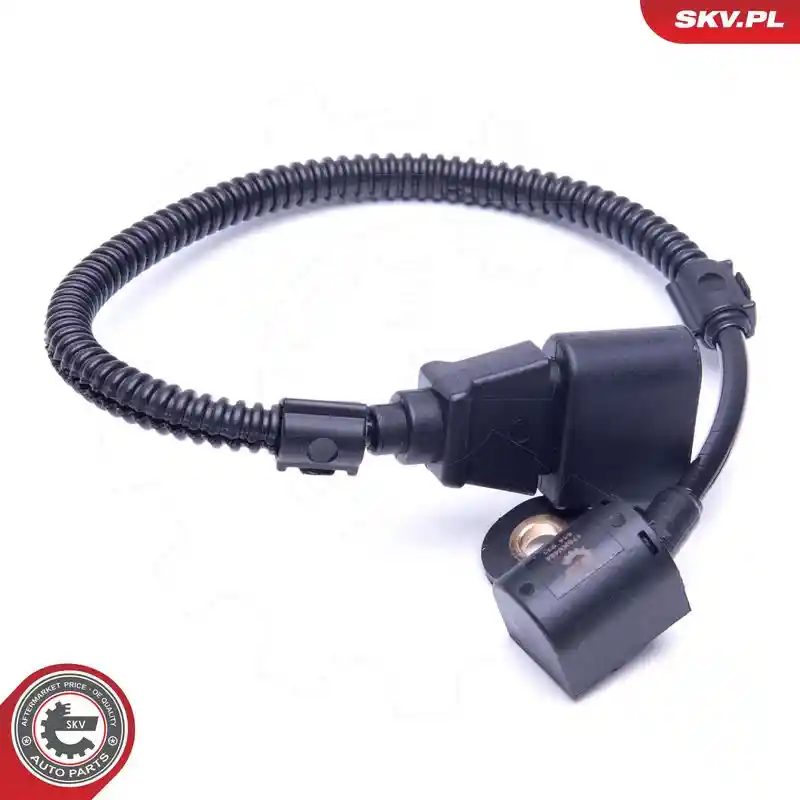 ESEN SKV 17SKV484