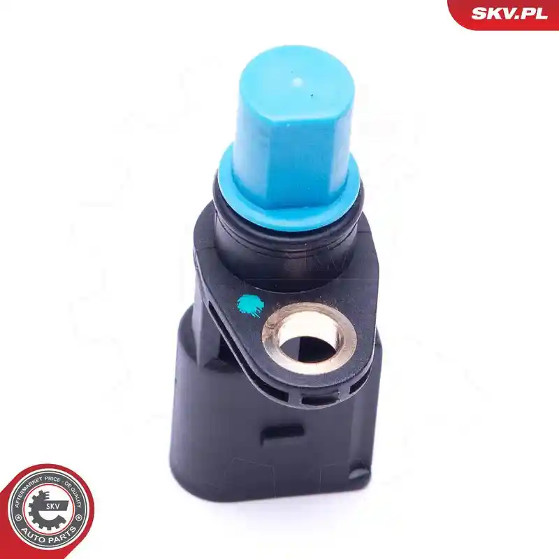 ESEN SKV 17SKV485