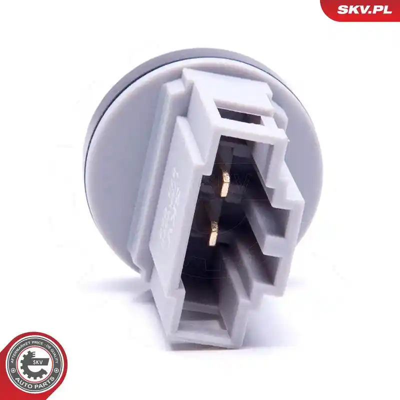ESEN SKV 17SKV698