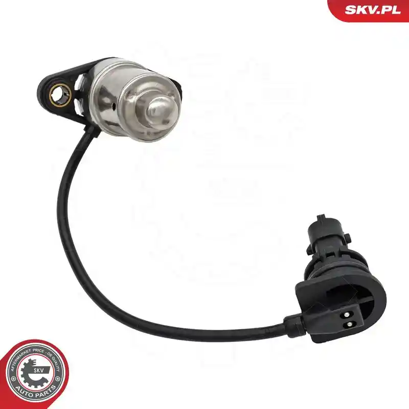 ESEN SKV 17SKV924