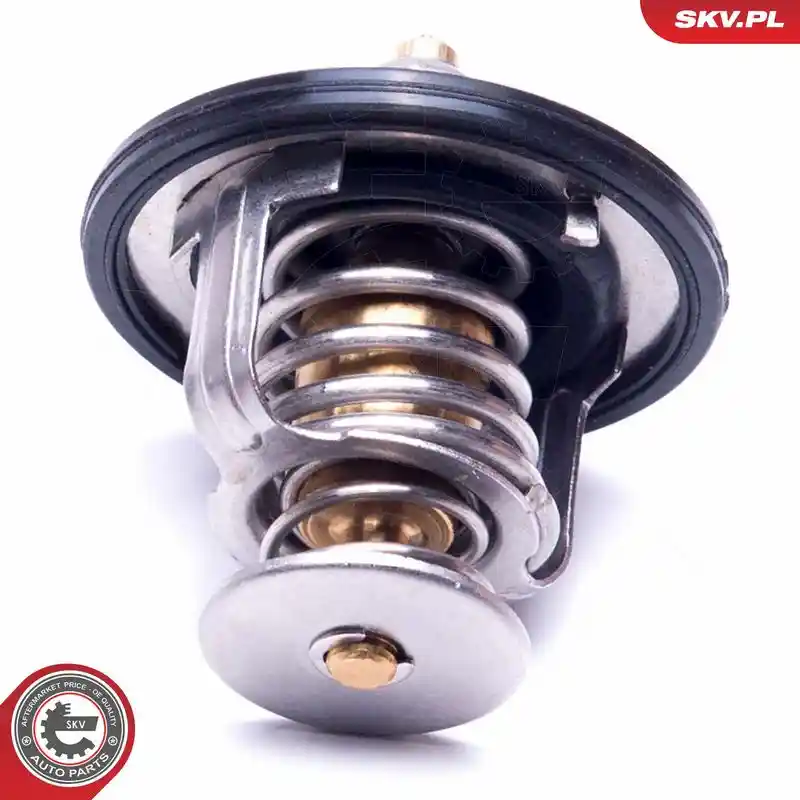 ESEN SKV 20SKV131