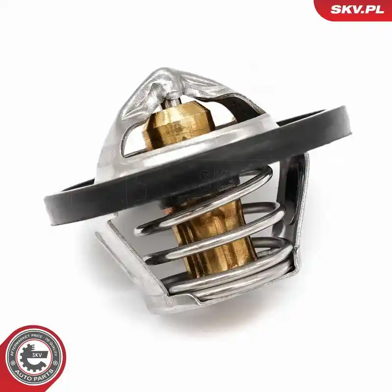 ESEN SKV 20SKV218 ESEN SKV 20SKV218