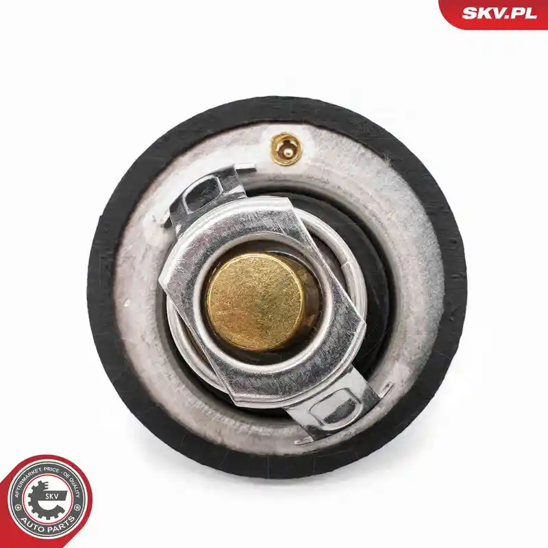 ESEN SKV 20SKV218 ESEN SKV 20SKV218