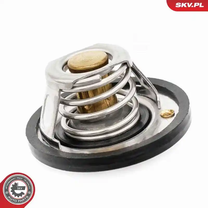 ESEN SKV 20SKV218 ESEN SKV 20SKV218