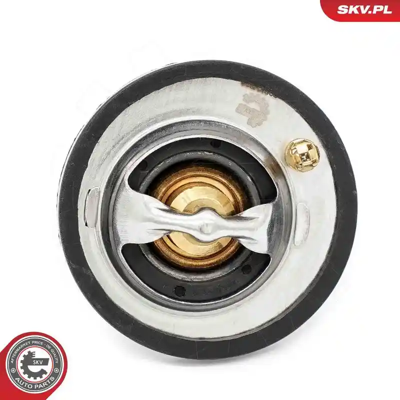 ESEN SKV 20SKV218 ESEN SKV 20SKV218