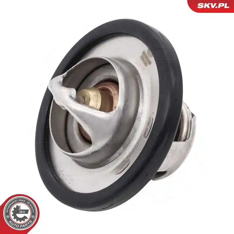 ESEN SKV 20SKV243 ESEN SKV 20SKV243