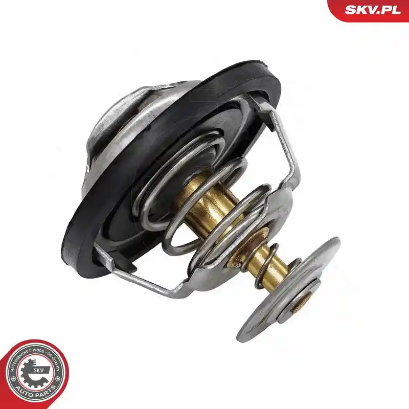 ESEN SKV 20SKV245 ESEN SKV 20SKV245
