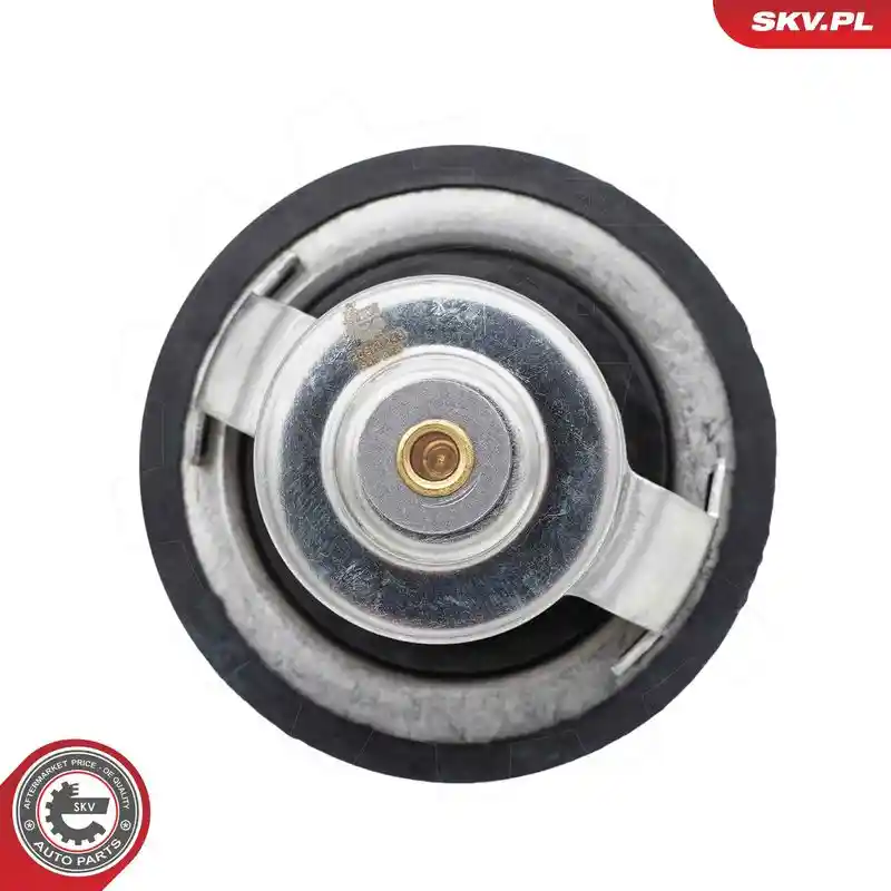 ESEN SKV 20SKV245 ESEN SKV 20SKV245