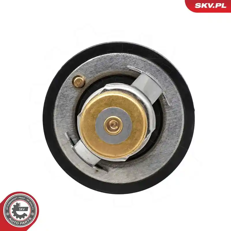 ESEN SKV 20SKV255 ESEN SKV 20SKV255