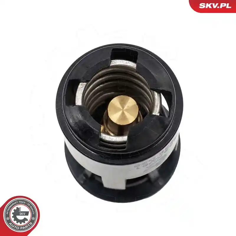 ESEN SKV 20SKV611 ESEN SKV 20SKV611