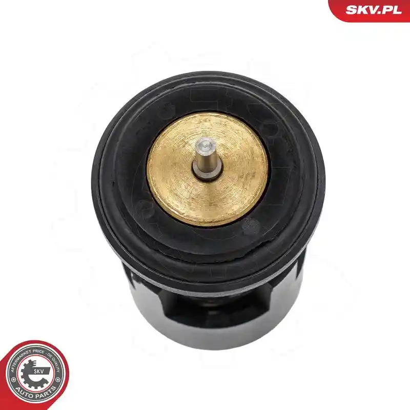 ESEN SKV 20SKV611 ESEN SKV 20SKV611