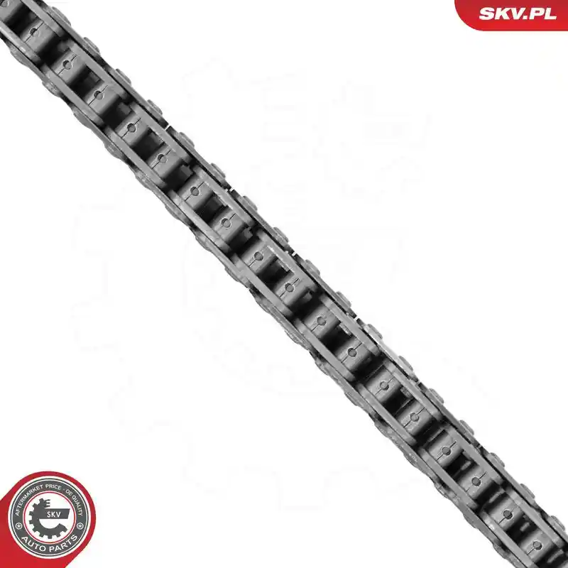 ESEN SKV 21SKV284