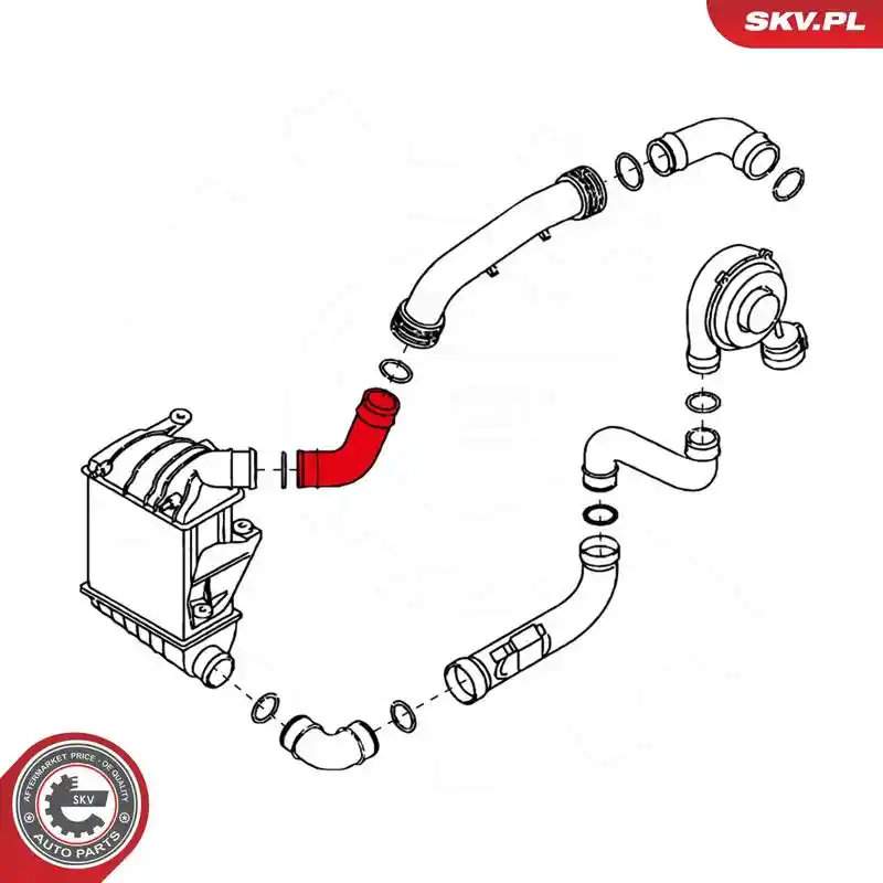 ESEN SKV 24SKV186