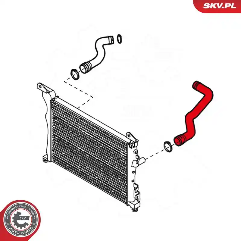 ESEN SKV 24SKV228