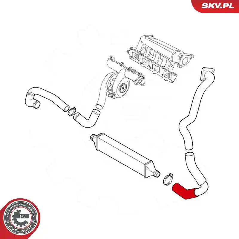 ESEN SKV 24SKV573
