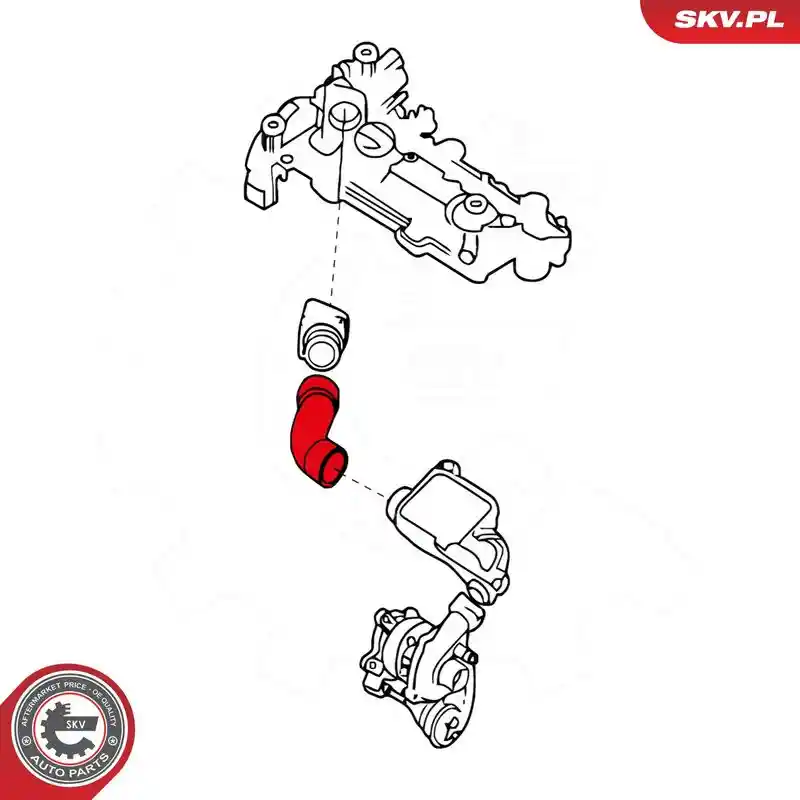 ESEN SKV 24SKV756