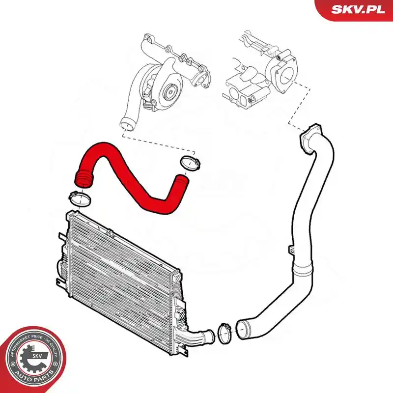 ESEN SKV 24SKV793