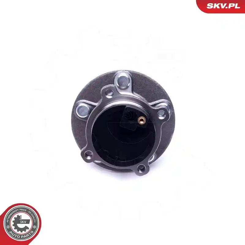 ESEN SKV 29SKV401 ESEN SKV 29SKV401