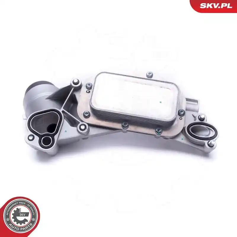 ESEN SKV 31SKV177