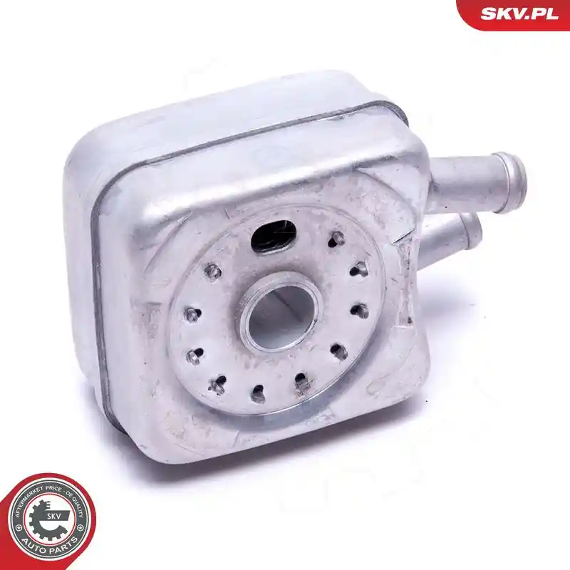 ESEN SKV 31SKV202