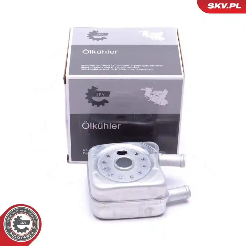 ESEN SKV 31SKV202