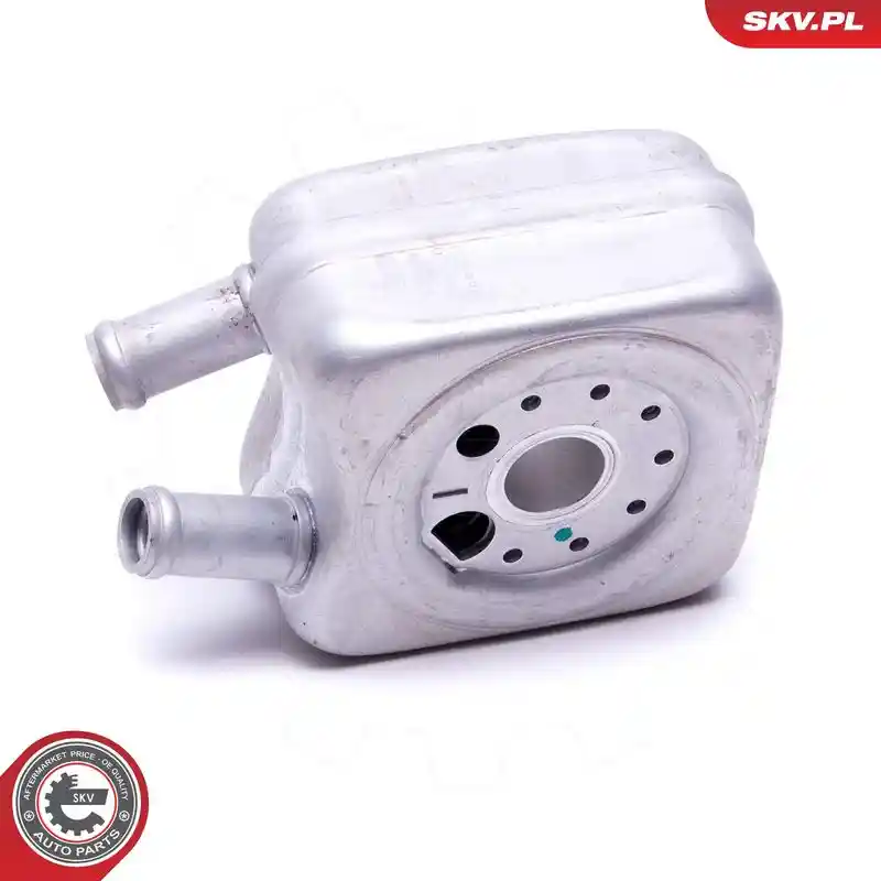 ESEN SKV 31SKV204