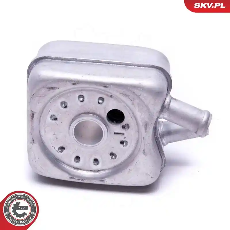 ESEN SKV 31SKV204