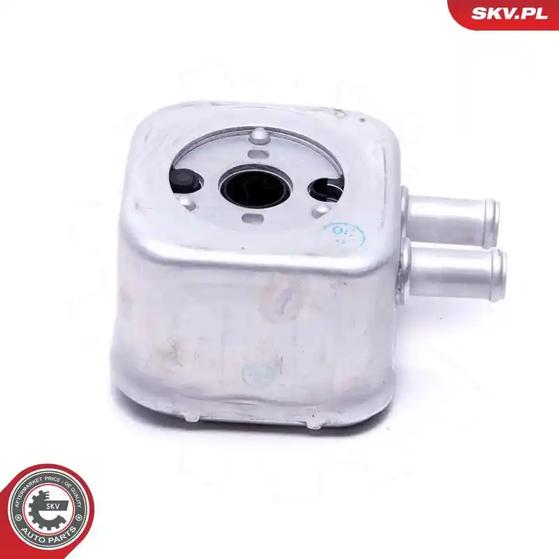 ESEN SKV 31SKV205