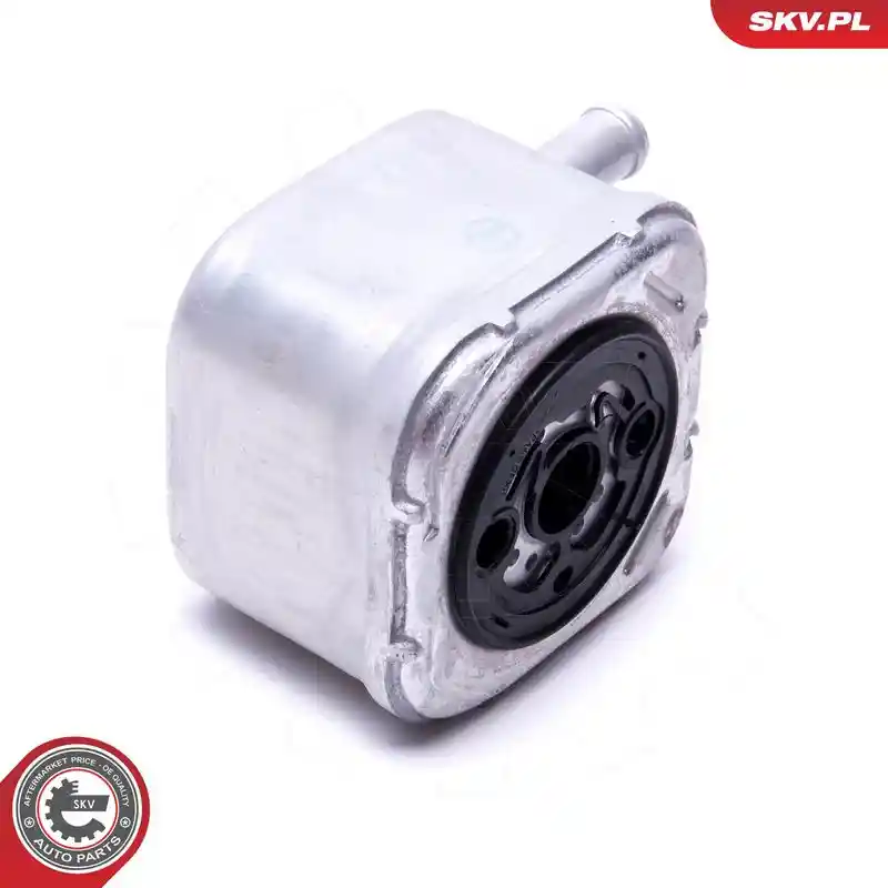 ESEN SKV 31SKV205