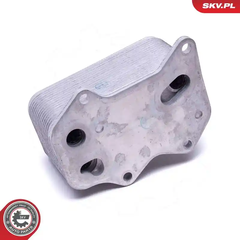 ESEN SKV 31SKV206