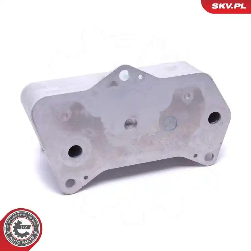 ESEN SKV 31SKV207