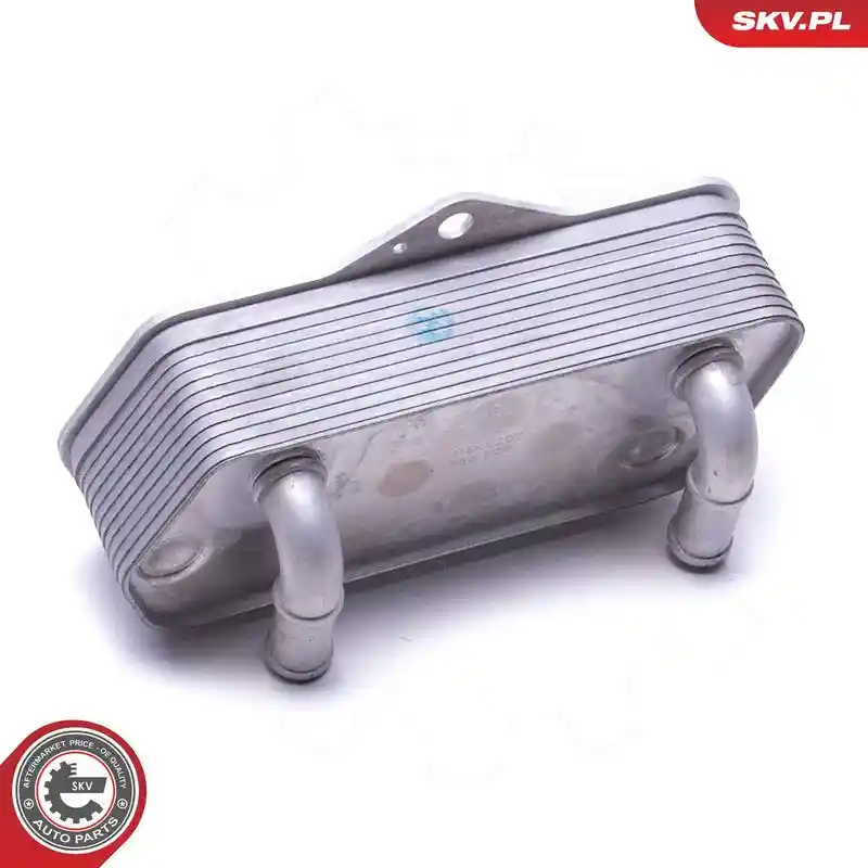 ESEN SKV 31SKV207