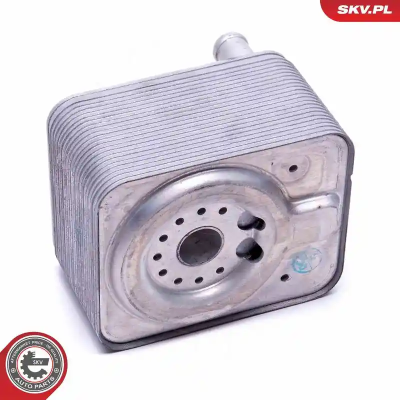 ESEN SKV 31SKV208