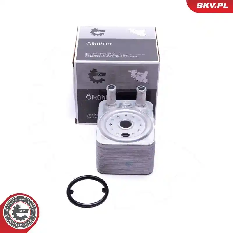 ESEN SKV 31SKV208