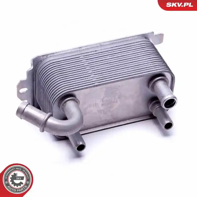 ESEN SKV 31SKV228