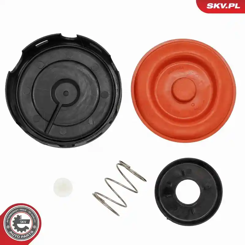 ESEN SKV 31SKV242