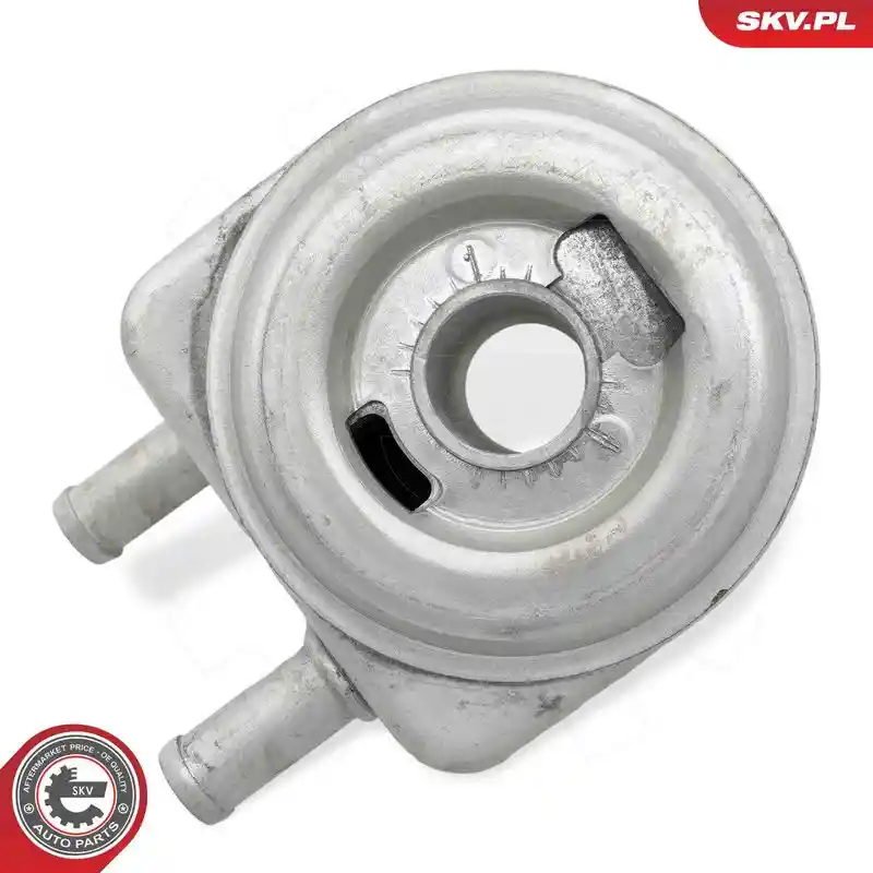 ESEN SKV 31SKV274