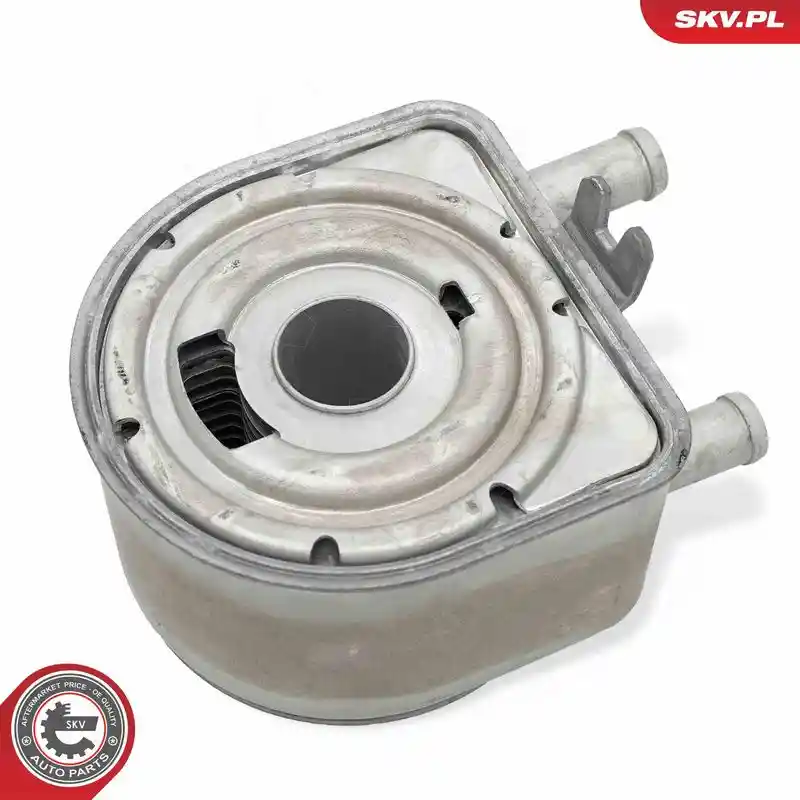 ESEN SKV 31SKV274