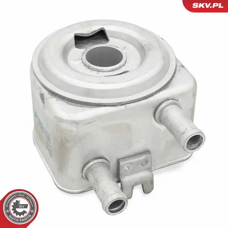 ESEN SKV 31SKV274