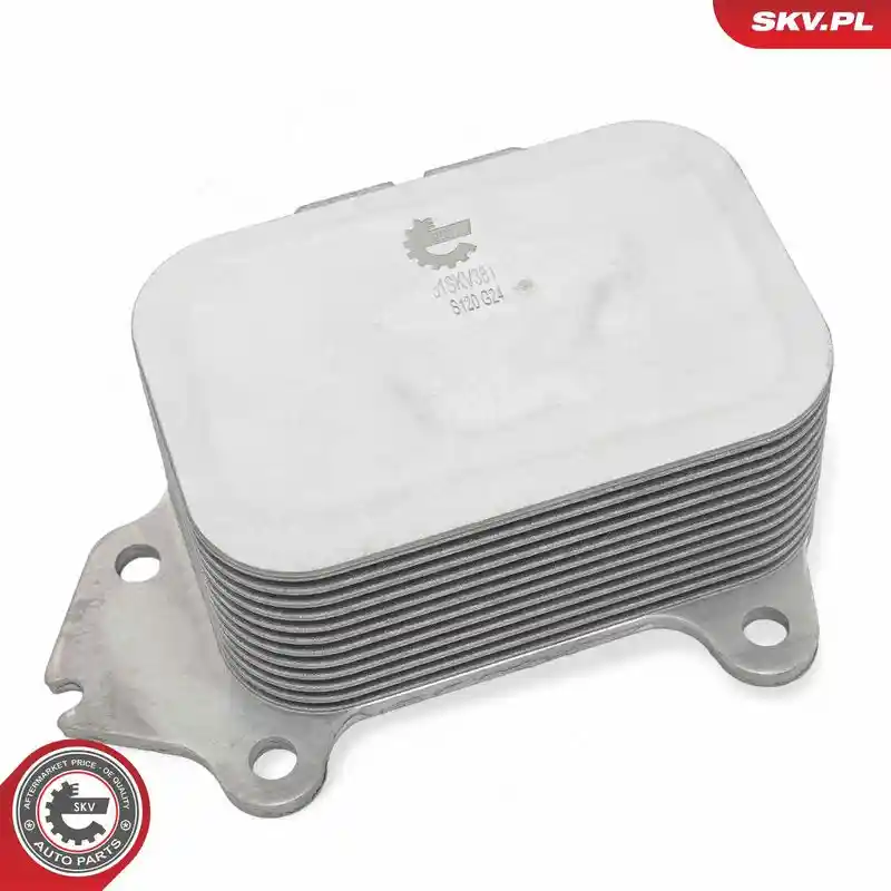 ESEN SKV 31SKV381