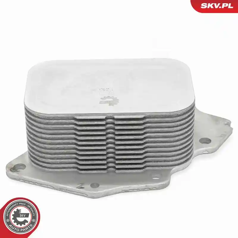 ESEN SKV 31SKV381