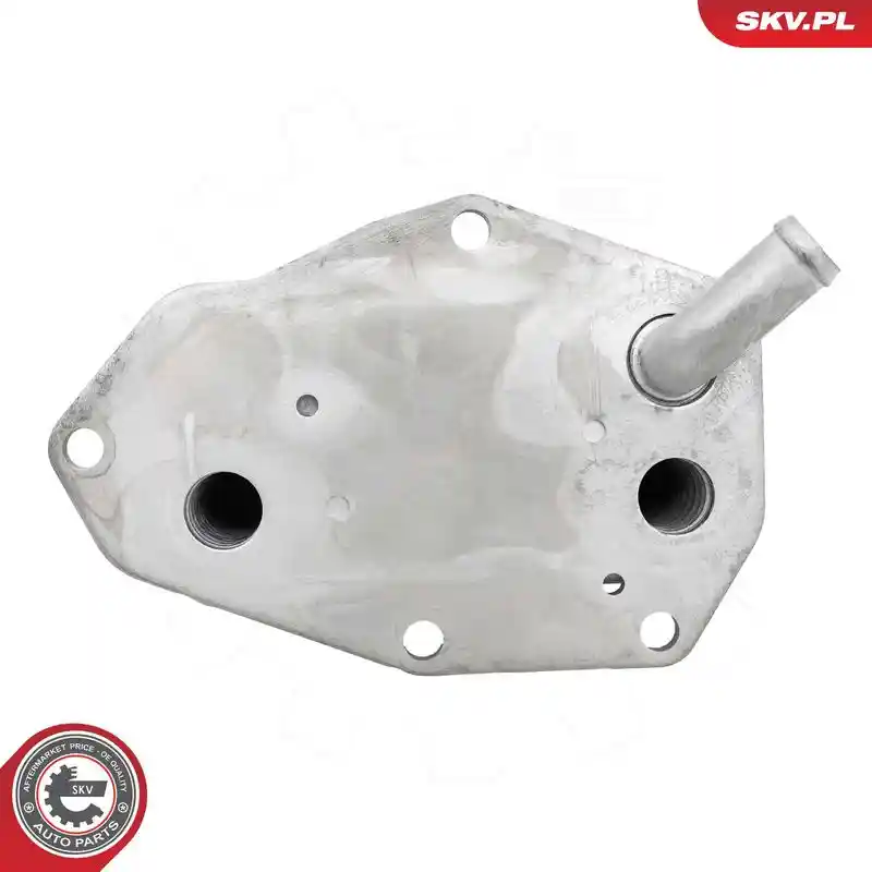 ESEN SKV 31SKV486
