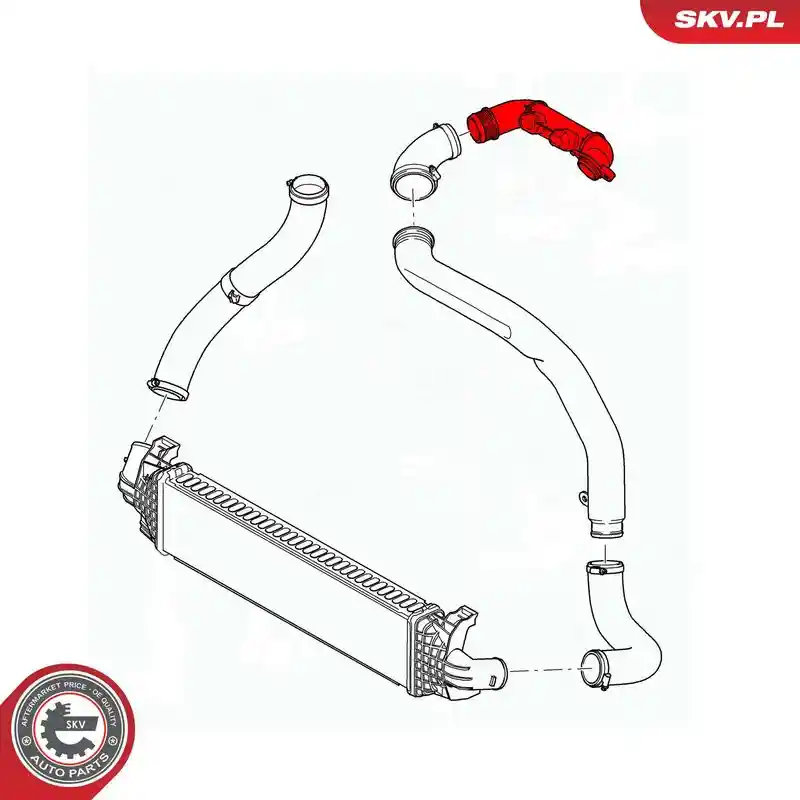 ESEN SKV 43SKV309