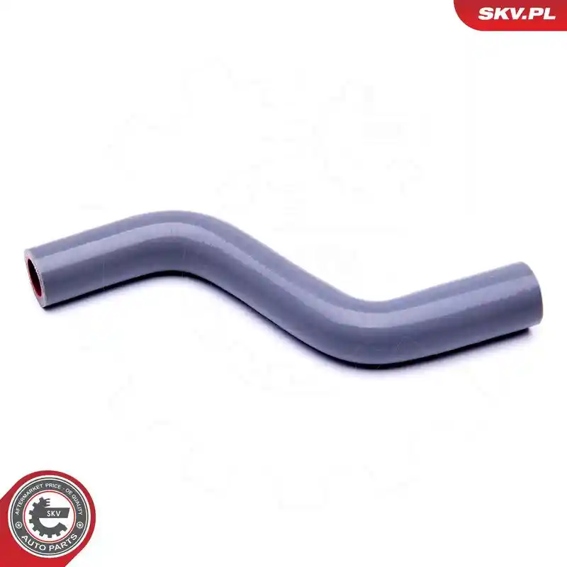 ESEN SKV 43SKV409