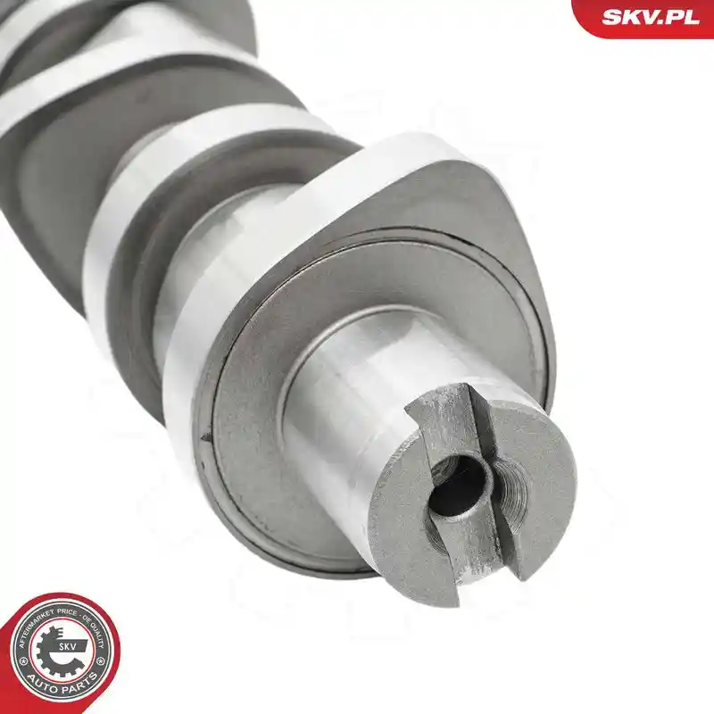 ESEN SKV 80SKV005